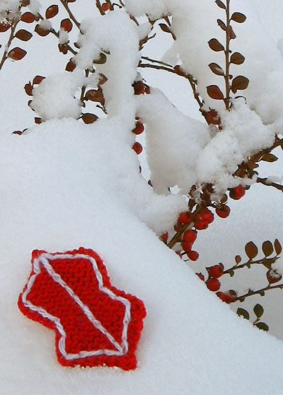 photo of two tone holly decoration in the snow
