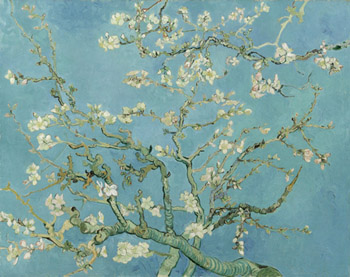 Almond Blossom, 1890, Vincent van Gogh