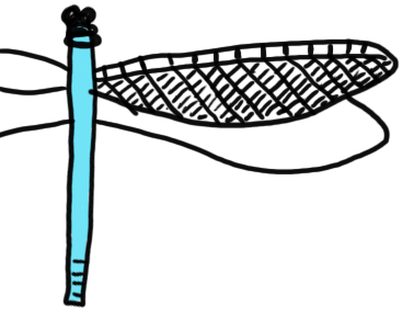 the dragonfly technical sketch which is not very technical