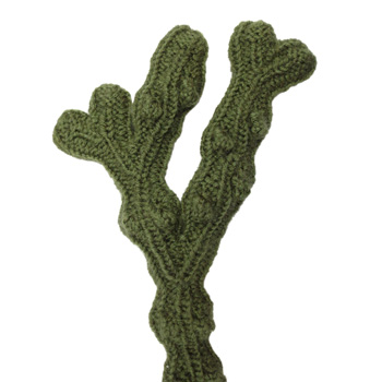 knitted bladderwrack