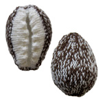free knitting pattern for a cowry shell