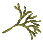 free knitting pattern for channelledwrack seaweed