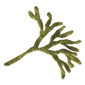 knitted channelled wrack seaweed