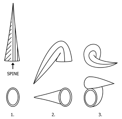 Diagram showing how to twist the shell into shape.