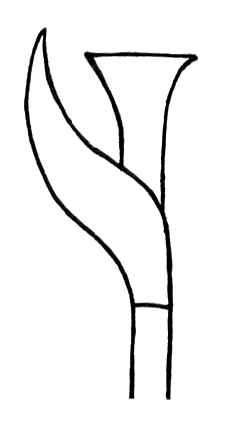 Diagram showing spathe positioning.