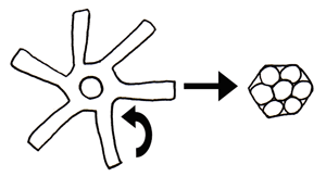 Diagram showing stamen and pistil.