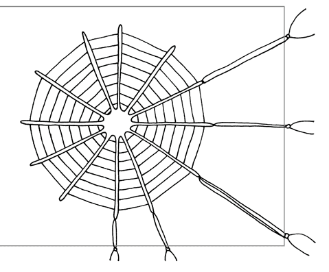 Diagram showing frame and cobweb.