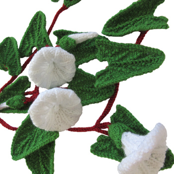 knitted bindweed